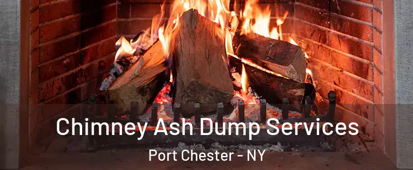  Chimney Ash Dump Services Port Chester - NY